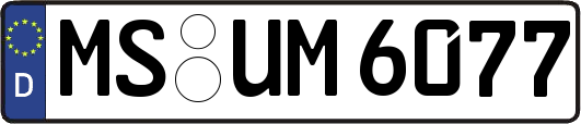 MS-UM6077