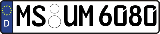 MS-UM6080