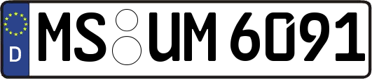 MS-UM6091