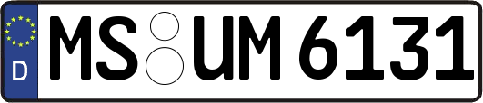 MS-UM6131