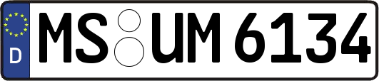 MS-UM6134