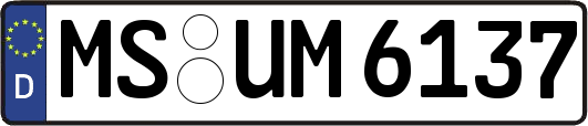 MS-UM6137