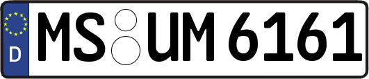 MS-UM6161