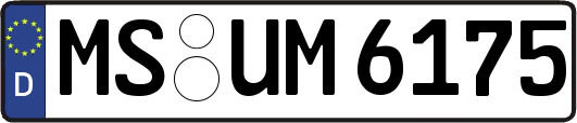MS-UM6175