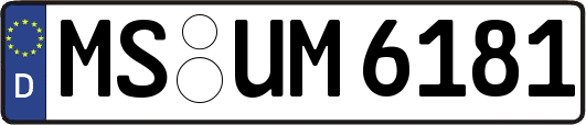 MS-UM6181