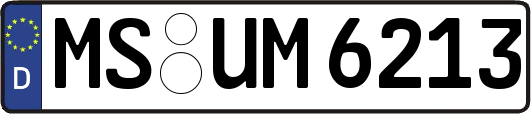 MS-UM6213