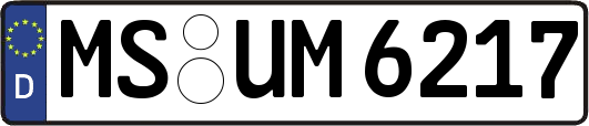 MS-UM6217