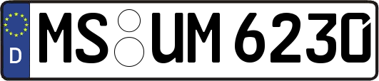 MS-UM6230