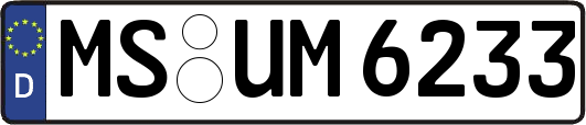 MS-UM6233