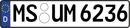 MS-UM6236