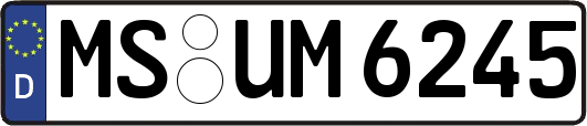 MS-UM6245