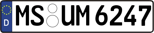 MS-UM6247