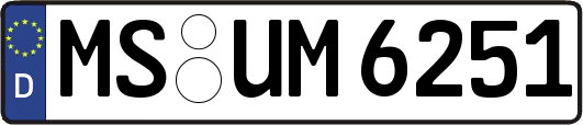 MS-UM6251