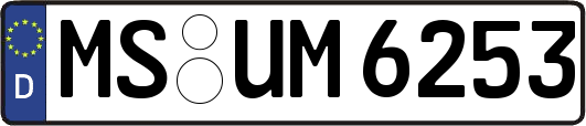 MS-UM6253