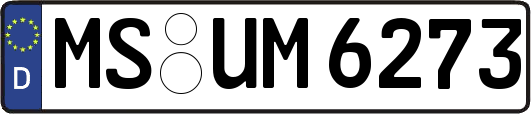 MS-UM6273