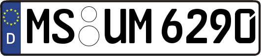 MS-UM6290