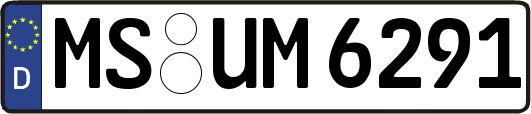 MS-UM6291