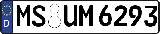 MS-UM6293