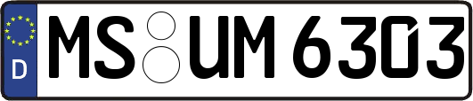MS-UM6303