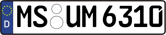 MS-UM6310