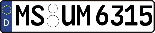 MS-UM6315