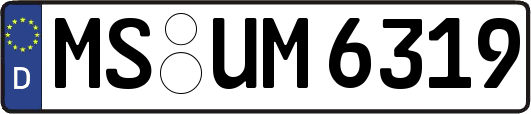 MS-UM6319