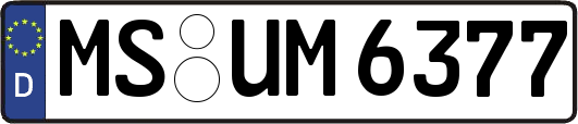 MS-UM6377