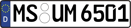 MS-UM6501