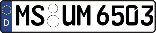 MS-UM6503