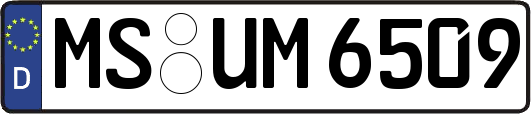 MS-UM6509