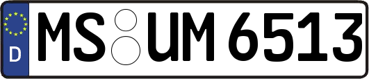 MS-UM6513