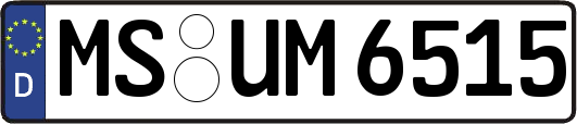 MS-UM6515