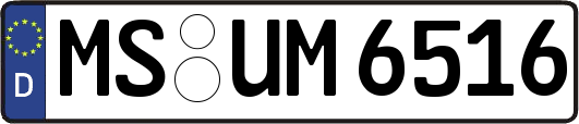 MS-UM6516