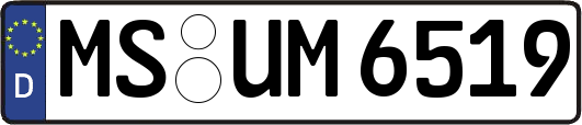 MS-UM6519