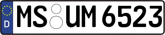 MS-UM6523