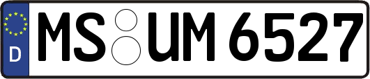 MS-UM6527