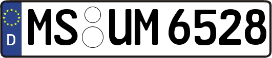 MS-UM6528