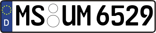 MS-UM6529