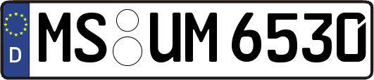 MS-UM6530