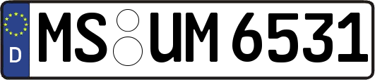 MS-UM6531