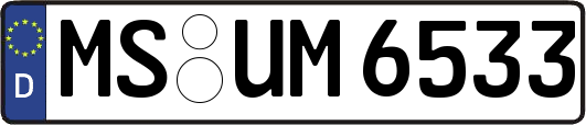 MS-UM6533