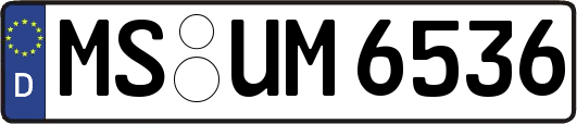 MS-UM6536