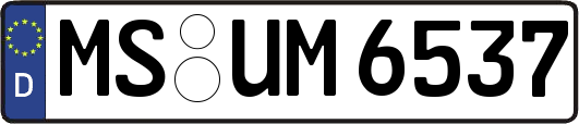 MS-UM6537