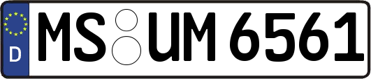 MS-UM6561