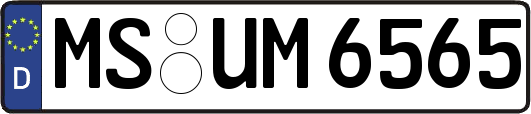 MS-UM6565