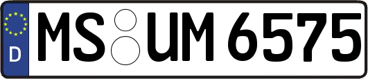 MS-UM6575