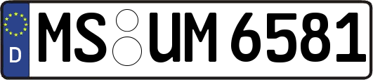 MS-UM6581