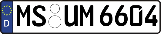 MS-UM6604