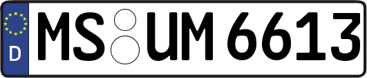 MS-UM6613