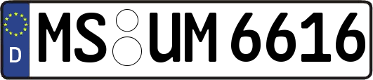 MS-UM6616